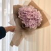 Blushing Bloom 2