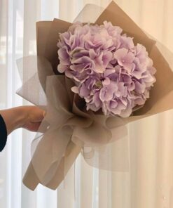 Blushing Bloom 2