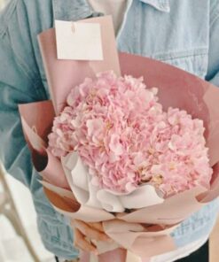 Blushing Bloom