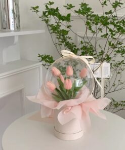 Tulip - 郁金香
