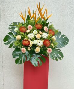 Elegancy Welcome