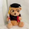 Graduation Bear