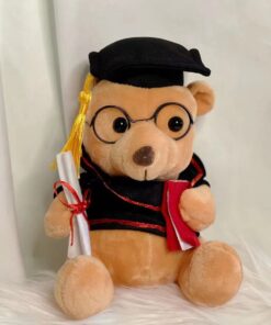 Graduation Bear