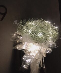 Baby's Breath - 滿天星