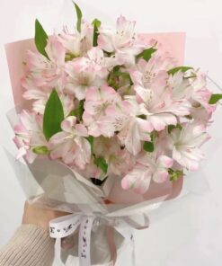 Lily / Orchid - 百合 / 胡姬花