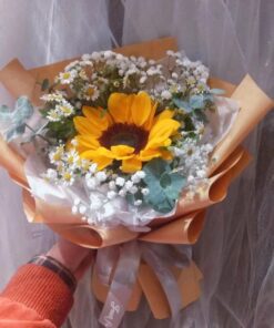 Sunflower - 向日葵