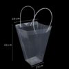 Transparent Carrier Bag