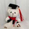 12cm Graduation Bear