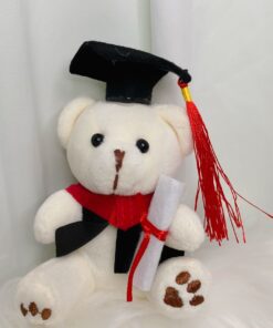 12cm Graduation Bear
