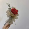 A Red day
