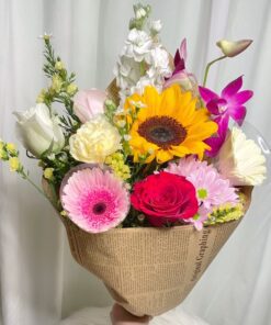 H.T Garden surprise flower
