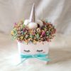 Unicorn Flower in a Bag 1