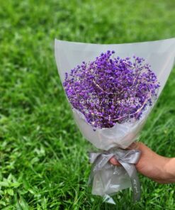 Violette Baby