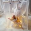 Gift Bundle B