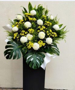 In Loving Memory