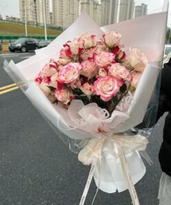 WCEGA @ roses Pink Red Wavy Day