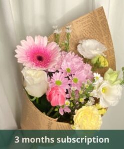 daily surprise flower 3 months