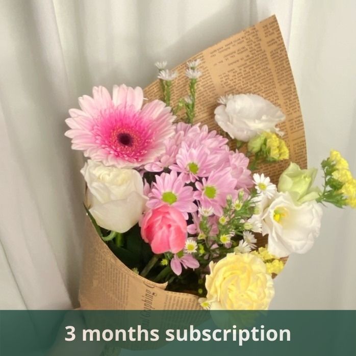 daily surprise flower 3 months