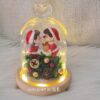Christmas Couple Preserved Glass Dome