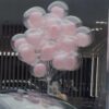 AD726F12 842B 43F5 A32E 03BEBE0DC69E