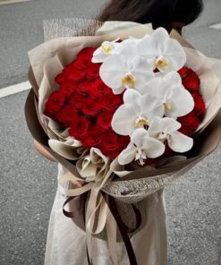 WhatsApp Image 2024 09 12 at 10.25.46 (1)