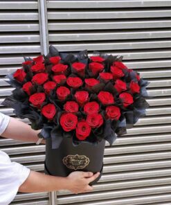 22e20c60 2582 4ab7 9da2 4a8a2dd11070