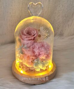 Mothers Day Preserved Flower Dome Caring LED