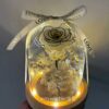 Classic Preserved Rose Dome