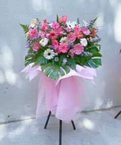 WhatsApp Image 2024 06 16 at 16.14.43 (2)