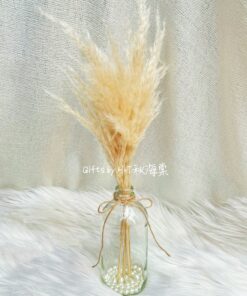 Angel Wing in a Bottle