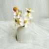 Serenity Blooms