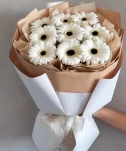WhatsApp Image 2024 09 26 at 14.49.48 (1)
