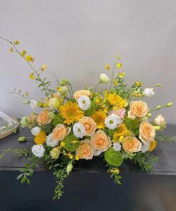 WhatsApp Image 2024 10 28 at 11.19.06 (1)