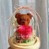 Enchanted Bear Preserved Flower Dome