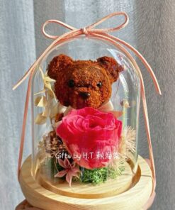 Enchanted Bear Preserved Flower Dome