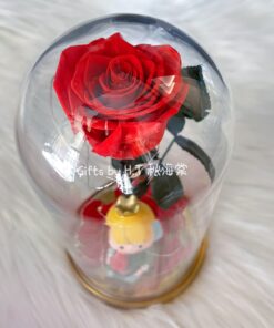 Le Petit Prince Enchanted Rose Dome top view