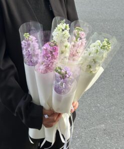 b31595b1 d333 4cb6 af95 1bd32f3abcb4