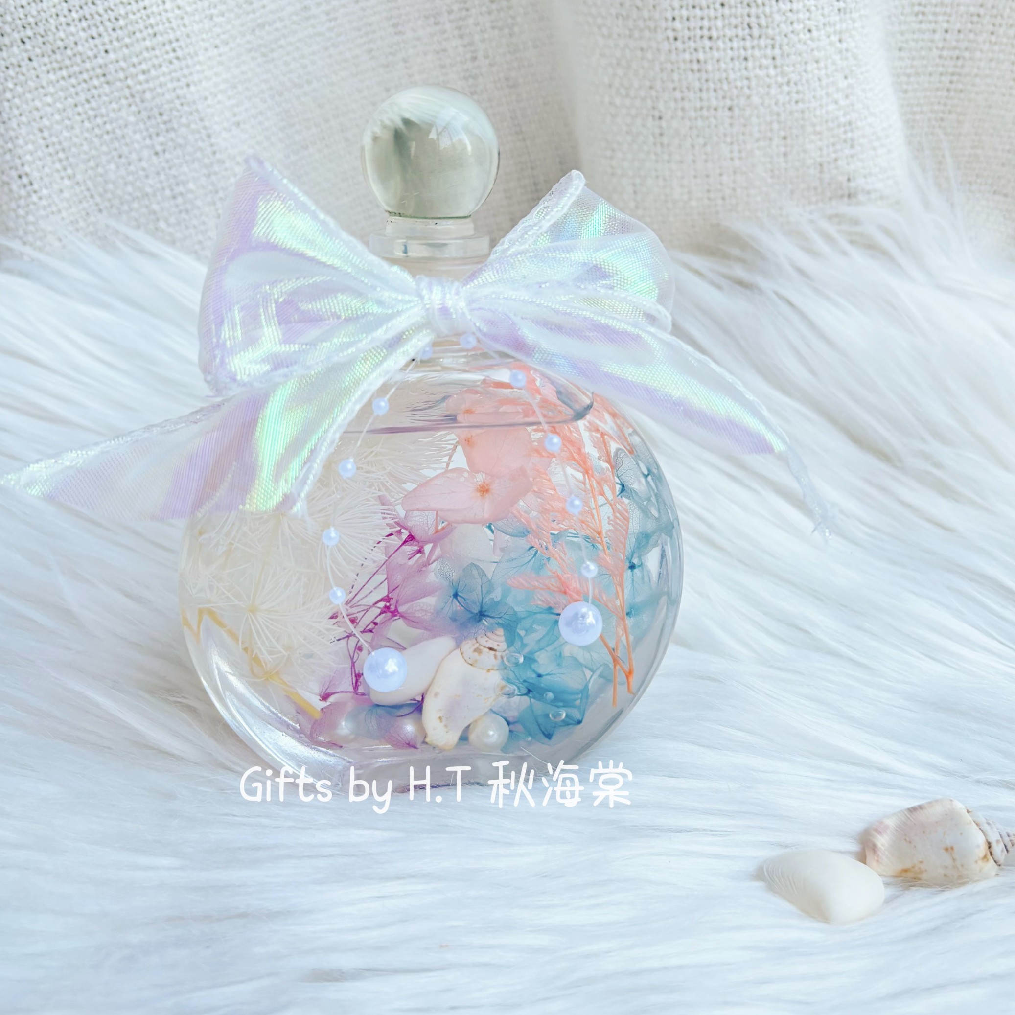Seashell Dream Herbarium