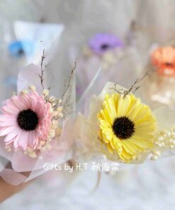 Bloom of Thanks – Single stalk Sola Gerbera close up