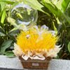 Grand opening dried wheat prosperity flower basket