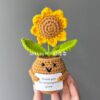 Sunflower Smiley Pot