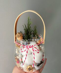 Winter Wonderland Xmas Potpourri 1